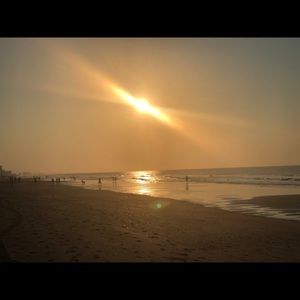 Meet your Posher, Jodie